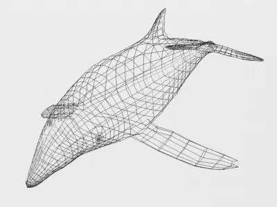 Dolphin Listed Low-poly 3D model
