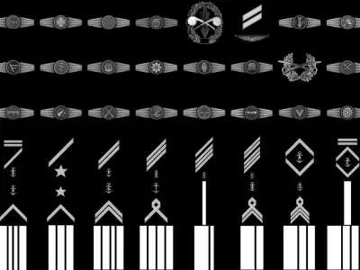  Military Rank and Badges Alpha-Brush Vol1 3D model
