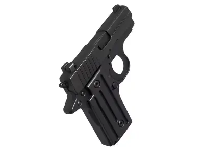 P238 RAINBOW 3D print model
