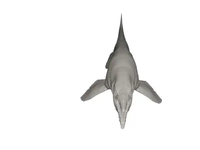 Dinosaur whale 3D model
