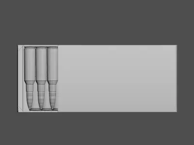 Cartridges in the box 3D model