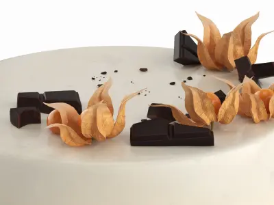 Chocolate Garnished Cake with Physalis 3D model