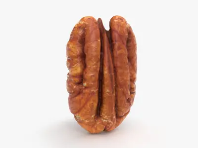 Pecan - 3D Scanned Collection 3D model
