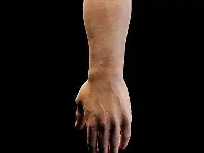 Human Hand with Beret collection  Low-poly 3D model