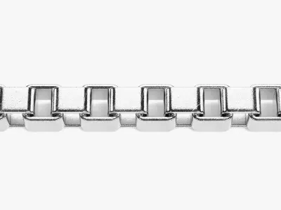Link Chain V6 - Silver Box Proof 3D model