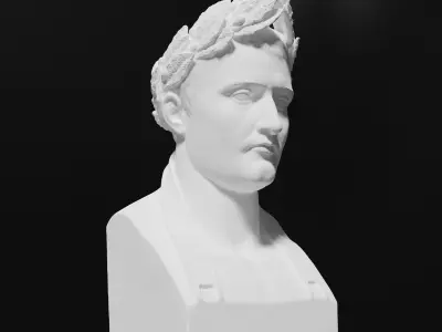 Napoleon Bonaparte Bust Highres for 3D Printing 3D print model