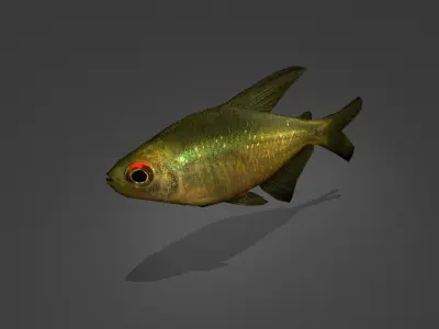 Zitronensalmler fish Low-poly 3D model