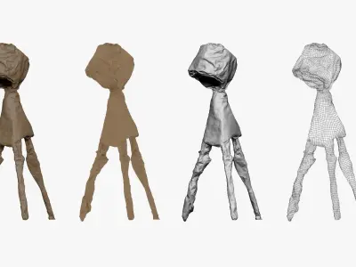 001275 the light hiden under dark coat lowpoly 3D model