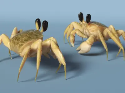  Ghost Crab Crustacean Beige Moving Pose Fur 