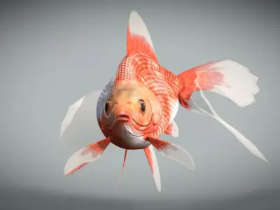 Goldfish Low-poly 3D model get
