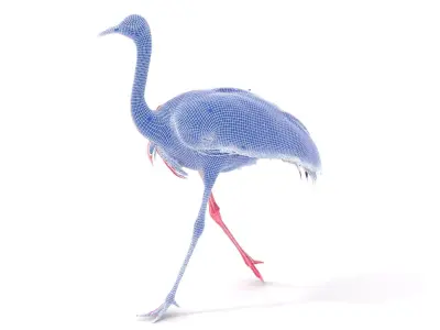Elegant Flamingo Bird model pack Low-poly 3D model