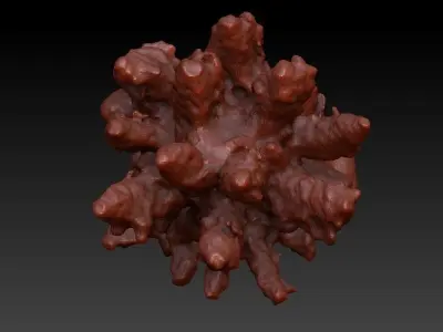 Sea Coral Scan 2 3D model