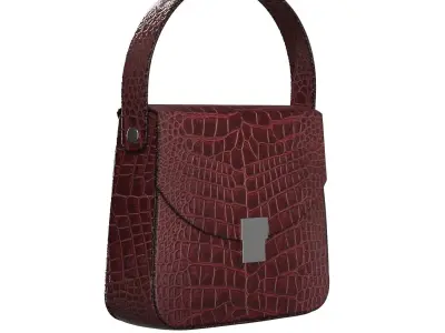 Burgundy Square Bag 3D model