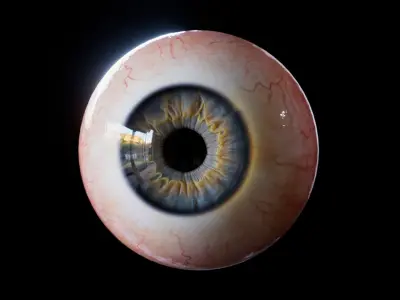 Realistic Human Eye with customizable colors 3D model