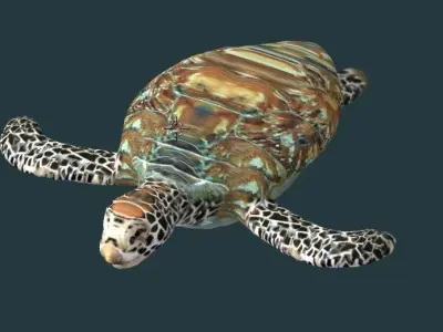 TURTLE sea 3D model