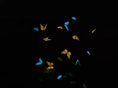 butterflies monarch butterfly Low-poly 3D model