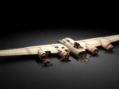 Airplane Wreck 3D model