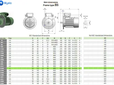 225M B5 2 Pole IEC electric motor - 3D CAD model 3D model
