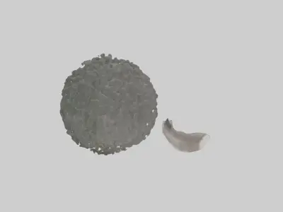 Koala Tail Low-poly 3D model