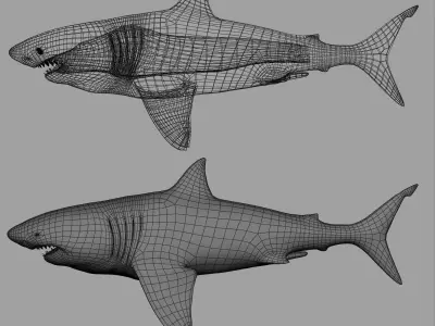 Great White Shark Low-poly 3D model buy