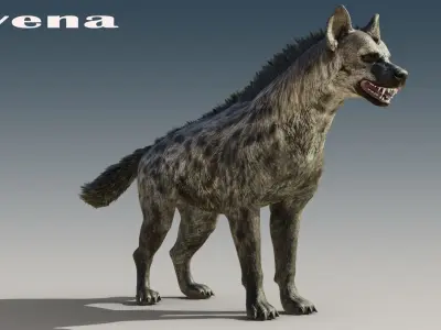 Hyena Rigged Low-poly 3D model