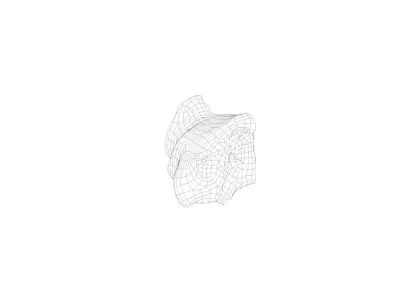 Pig Nose Split on Half Low-poly 3D model