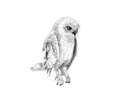 White Owl Rigged Animated Free low-poly 3D model