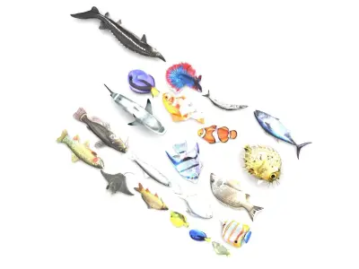 Fishes Set 3D model buy