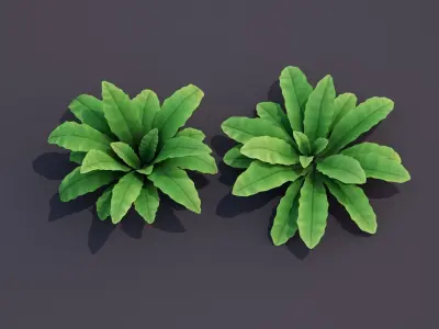 Bird Nest Fern Plant Low-poly 3D model