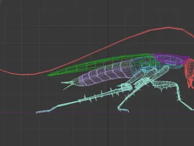 Cockroach beetle on table 3D model