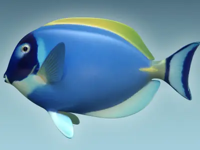 Dorry Fish 3D model