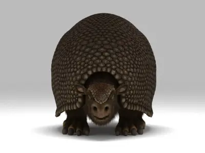 Glyptodon 3D model