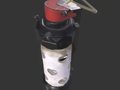 Flash grenade Low-poly 3D model buy