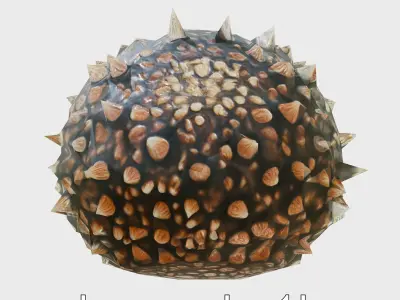 Pencil Urchin Model with Cylindrical Spines Low-poly 3D model