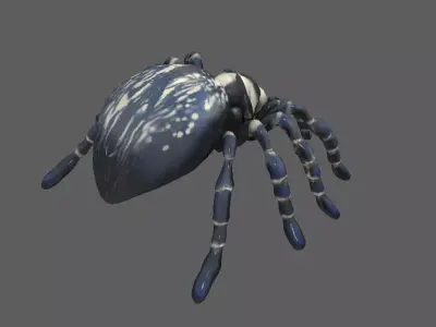 Spider 3D model 12