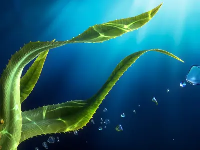 Seaweed Animated 3D model
