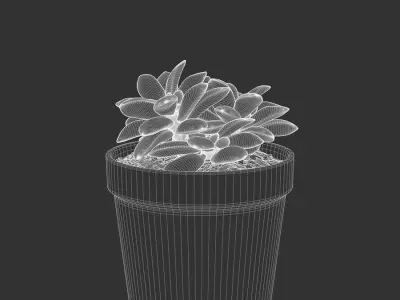  Sunrise Succulent Potted Plant Model  purchase