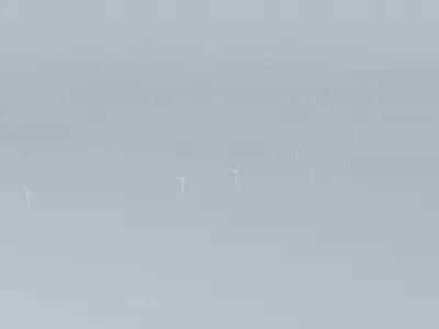 Woolnorth Wind Farm 4 Free 3D model