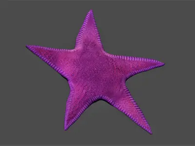 Starfish Low-poly 3D model purchase