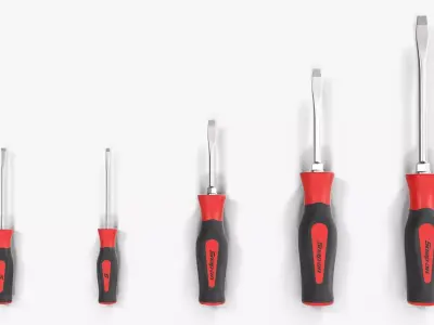 5 pc Flat Tip Instinct Soft Grip Red Screwdriver Set SGDS50BR Low-poly 3D model