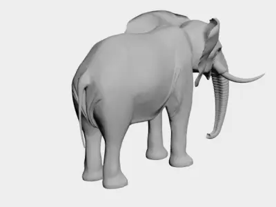 Elephant-wild animals 3D model