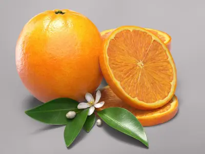 Oranges 3D model