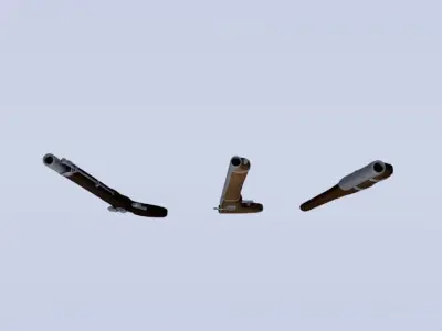Muskets set three rifles Free 3D model