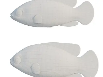 African jewel fish Low-poly 3D model