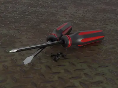 Pair of screwdrivers 3D model