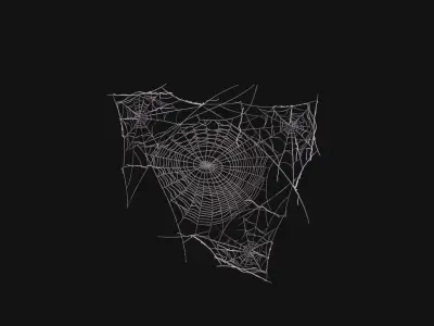 Spider Webs 3D Model Low-poly 3D model