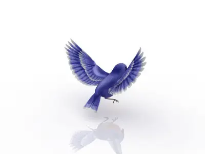 beautiful bird 3D model
