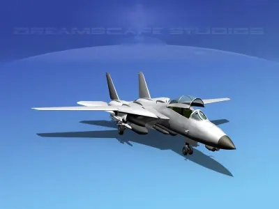 Grumman F-14D Tomcat Bare Metal  3D model