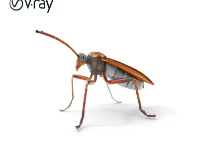 Realistic Insect Model Pack for Virtual Environments Low-poly 3D model