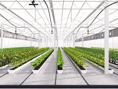 Intelligent greenhouse vegetable planting shed 3D model